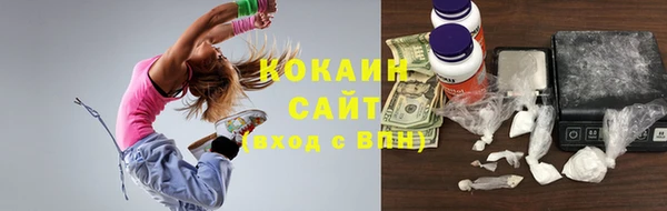 шишки Нефтегорск