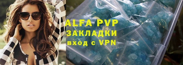 ешки Новозыбков