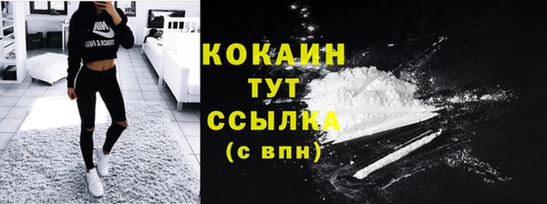 сатива Нея