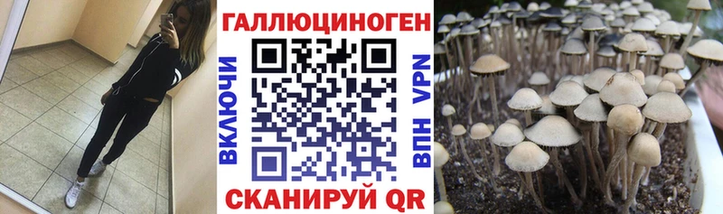 даркнет сайт  Остров  Галлюциногенные грибы GOLDEN TEACHER 